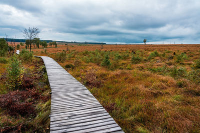 Boardwalk amidst plants on field against sky