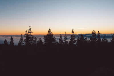 Silhouette trees against sky during sunset