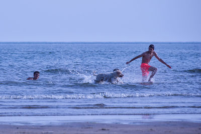 Men with playful dog in sea against clear sky