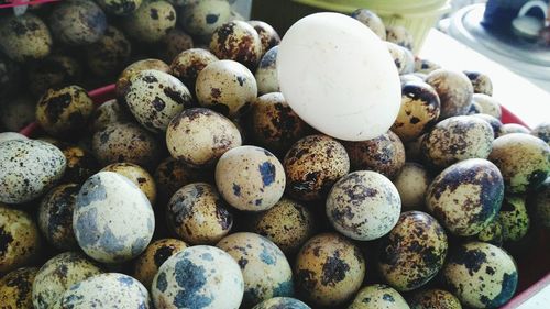 Close-up of quill eggs at market stall for sale