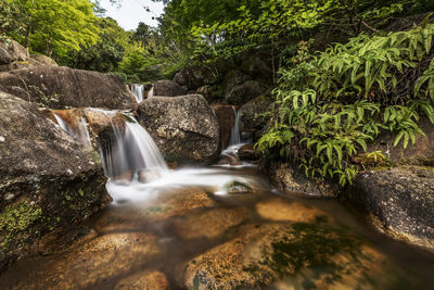 Waterfall in forest