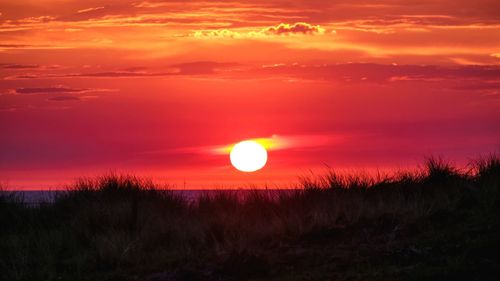 Sunset moment behind dutch dunes.