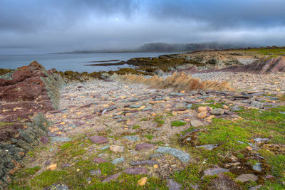 Scenic view of sea shore against sky