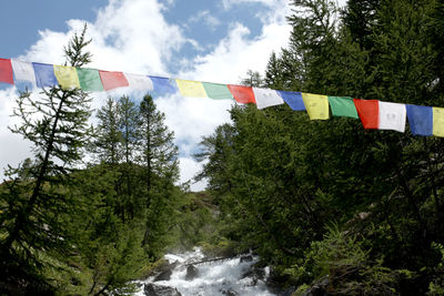 Low angle view of flags hanging against trees