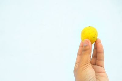 Close-up of hand holding fruit against white background