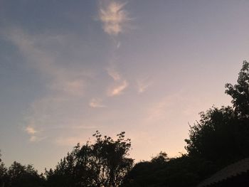 Low angle view of silhouette trees against sky