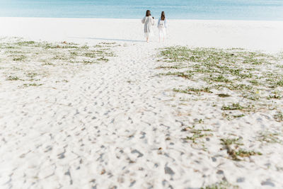 Rear view of people walking on beach