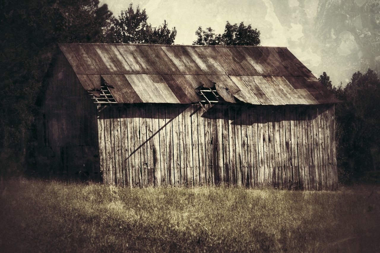 animal themes, one animal, domestic animals, mammal, grass, building exterior, built structure, architecture, field, fence, livestock, sky, horse, animals in the wild, grassy, wildlife, herbivorous, house, full length, day