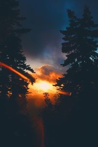 Trees against sky during sunset