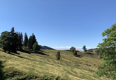 Scenic view of landscape against clear sky