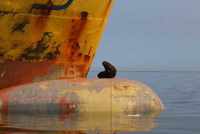 Bird perching on a boat