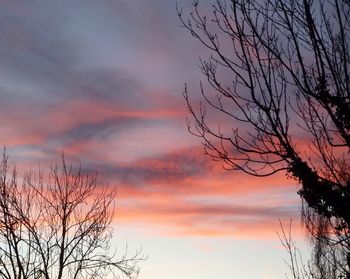 Low angle view of silhouette tree against sky at sunset