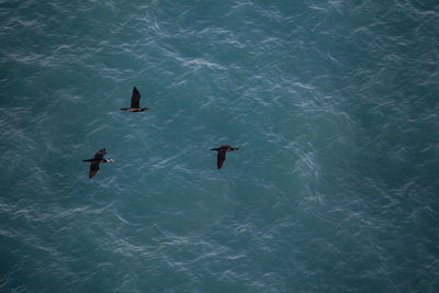 High angle view of people swimming in sea