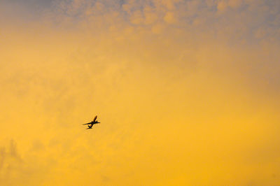 Low angle view of silhouette airplane flying against orange sky