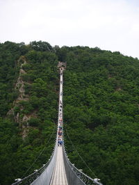 Footbridge amidst trees against sky