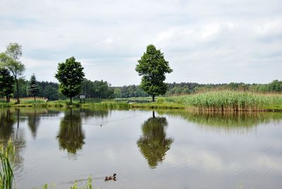Scenic view of lake against sky