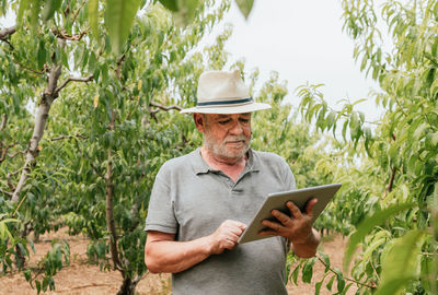 Aged man in casual clothes and hat checking data on tablet standing near peach tree during work on farm on summer day