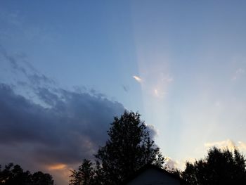 Low angle view of trees against cloudy sky