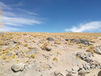 Scenic view of sand dune against sky