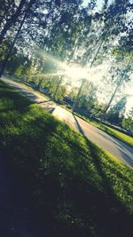 Road amidst trees against sky