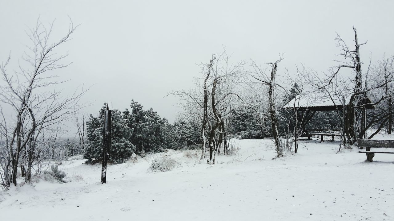 snow, winter, cold temperature, bare tree, tree, weather, season, covering, landscape, tranquility, clear sky, tranquil scene, nature, field, branch, frozen, snow covered, sky, beauty in nature, scenics