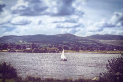 Sailboat sailing on lake
