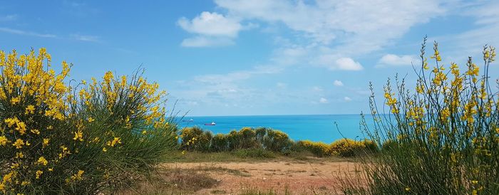 Scenic view of sea against sky