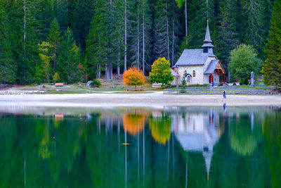 Reflection of trees in lake