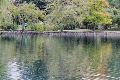 Scenic view of lake by trees