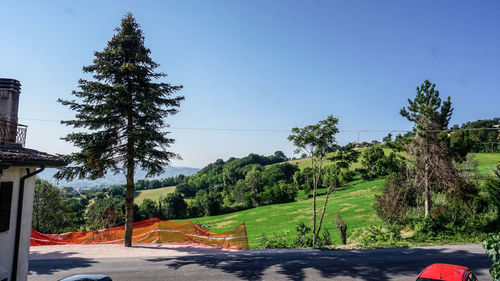 Trees by road against clear blue sky