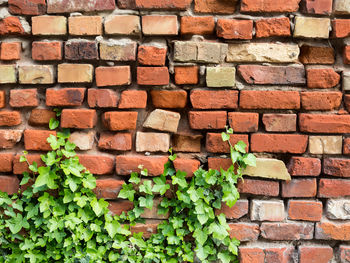 Full frame shot of brick wall