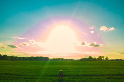 Scenic view of field against sky during sunset