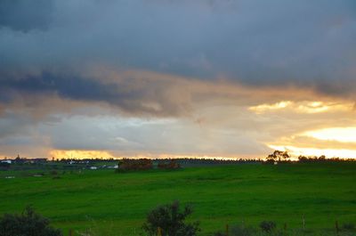 Scenic view of agricultural field against dramatic sky