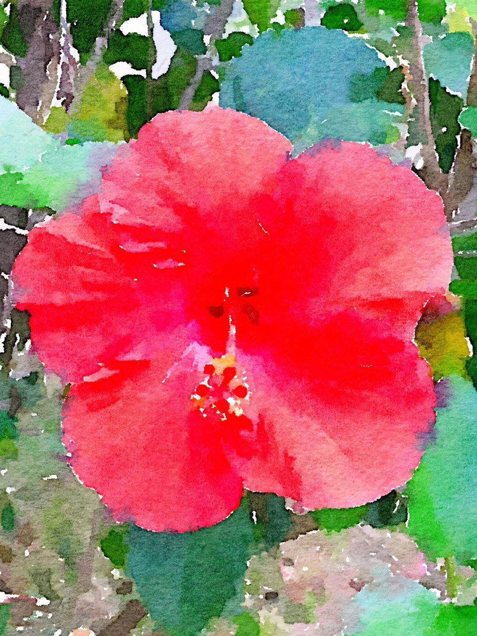 CLOSE-UP OF RED POPPY