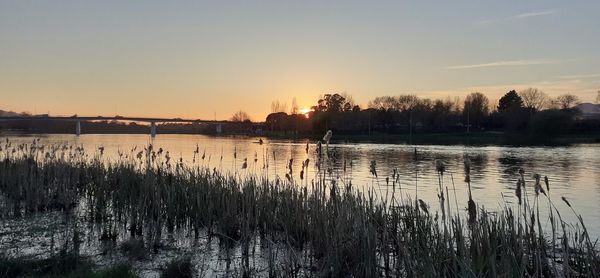 Scenic view of lake against clear sky at sunset