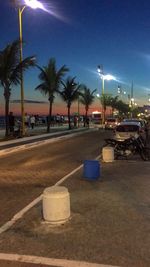 Street light and palm trees in city at night