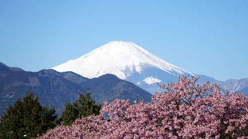 Scenic view of snowcapped mountains against clear blue sky