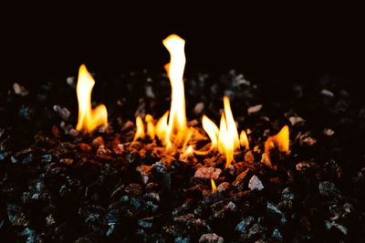 Close-up of bonfire at night