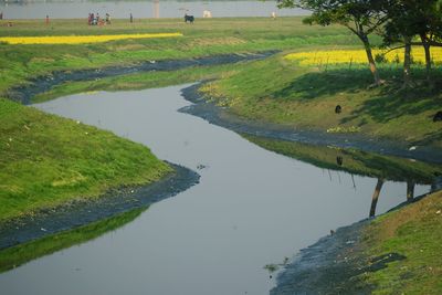 Scenic view of agricultural field