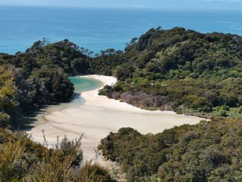 High angle view of sea and trees against sky