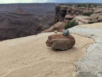 Close-up of rock on sand