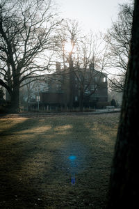 Bare trees and buildings against sky