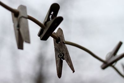 Low angle view of clothespins hanging on metal fence