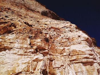 Low angle view of tree against sky