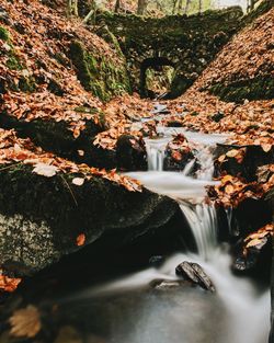 Scenic view of waterfall in forest