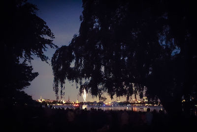 Low angle view of silhouette trees against sky at night