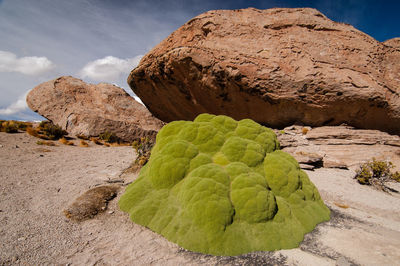 Rock formations on landscape