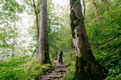 Rear view of woman walking in forest