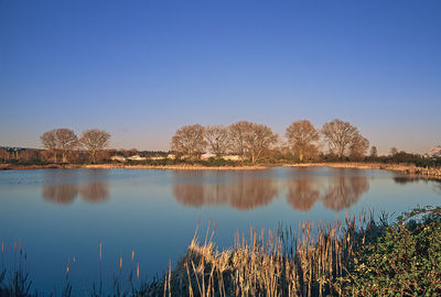 Scenic view of lake against clear blue sky