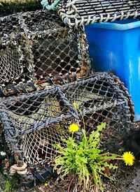 Close-up of fishing net on fence